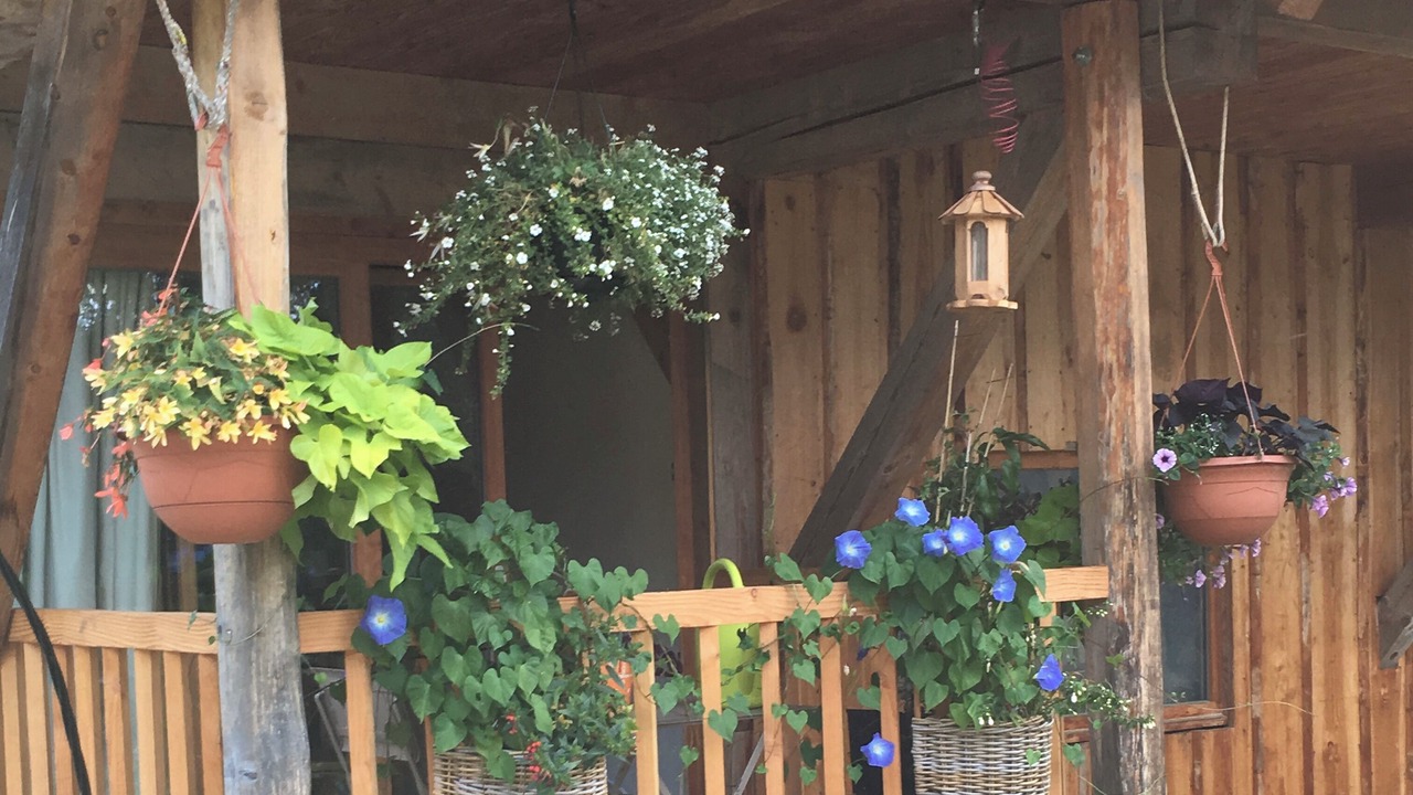 Photo of Outdoor in Leschaux