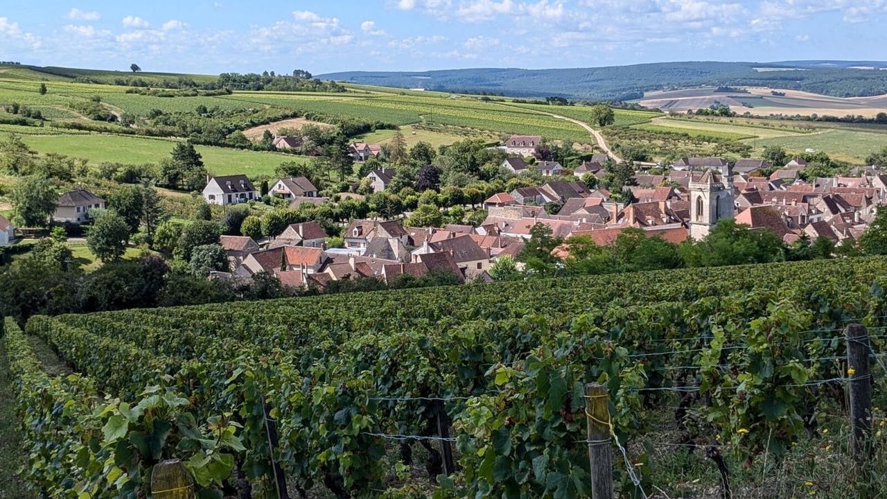 Photo of Others in Arcy-sur-Cure
