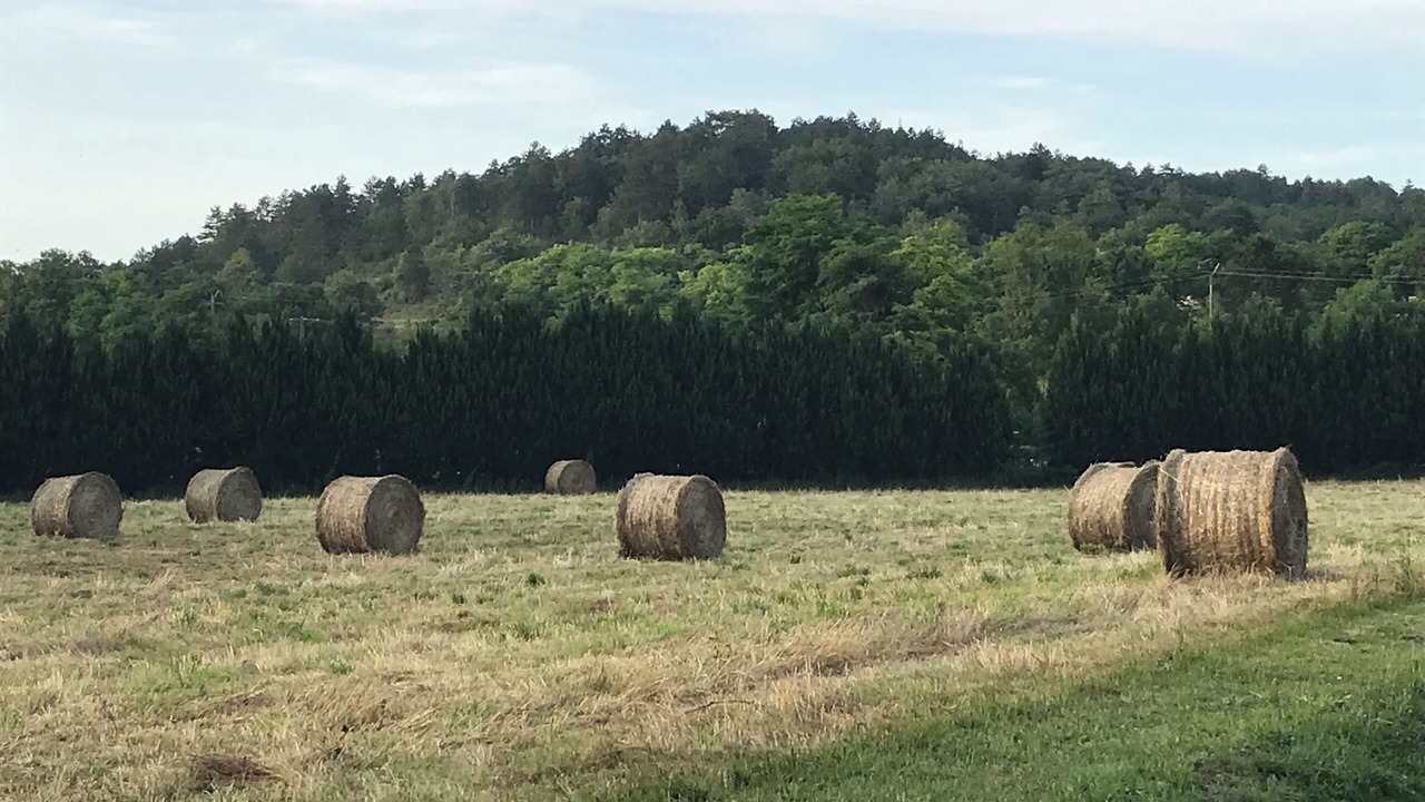 Photo of Others in Arcy-sur-Cure