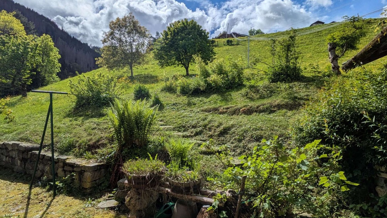 Photo of Outdoor in Beaufort