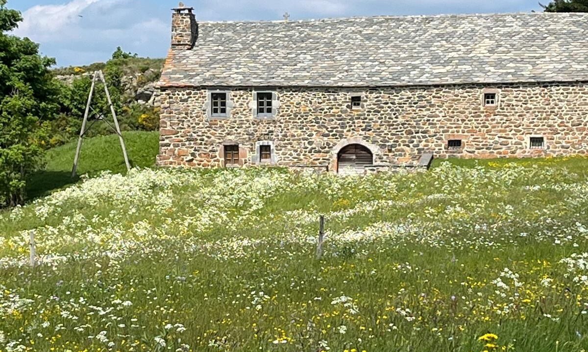 Photo of Outdoor in Saint-Front
