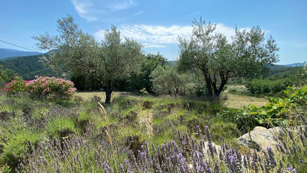 Photo of Others in Buis-les-Baronnies