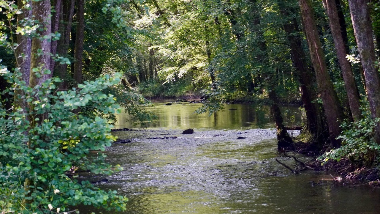 Photo of Others in Saint-Andre-en-Morvan