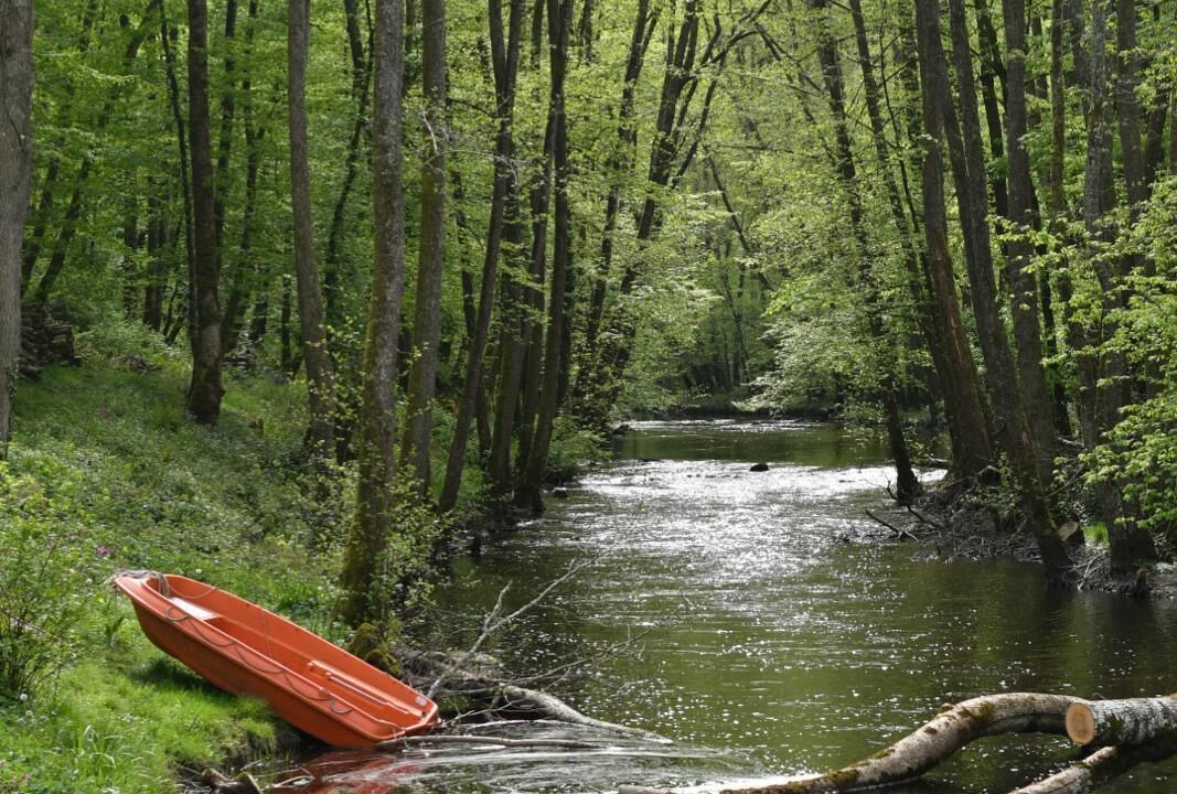 Photo of Others in Saint-Andre-en-Morvan