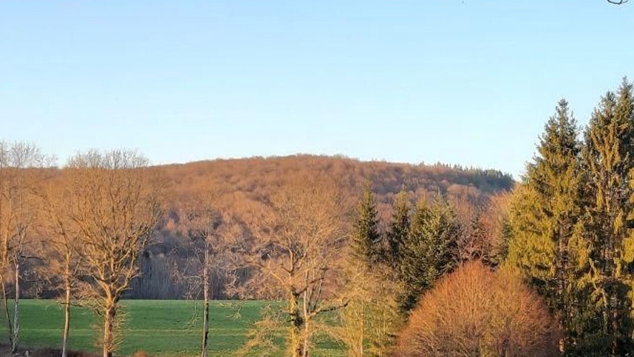 Photo of Others in La Vaivre
