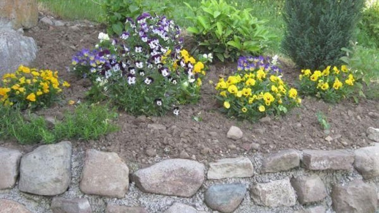 Photo of Outdoor in Vallee du Breuchin