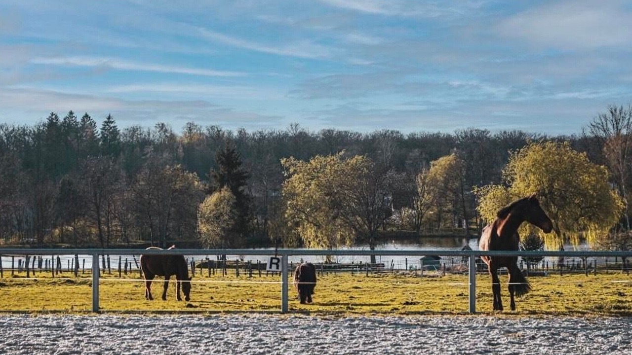 Photo of Others in Faymont