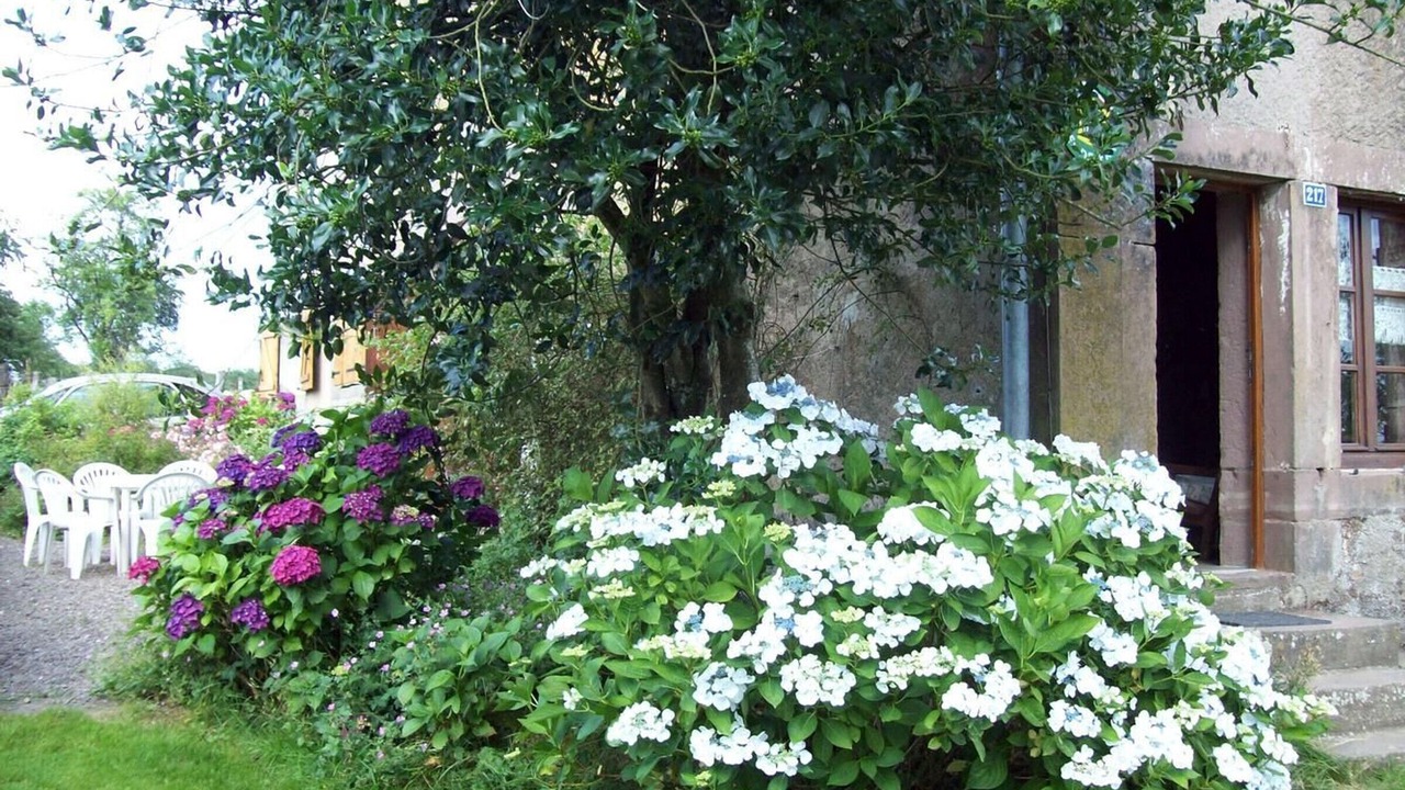 Photo of Outdoor in Fougerolles