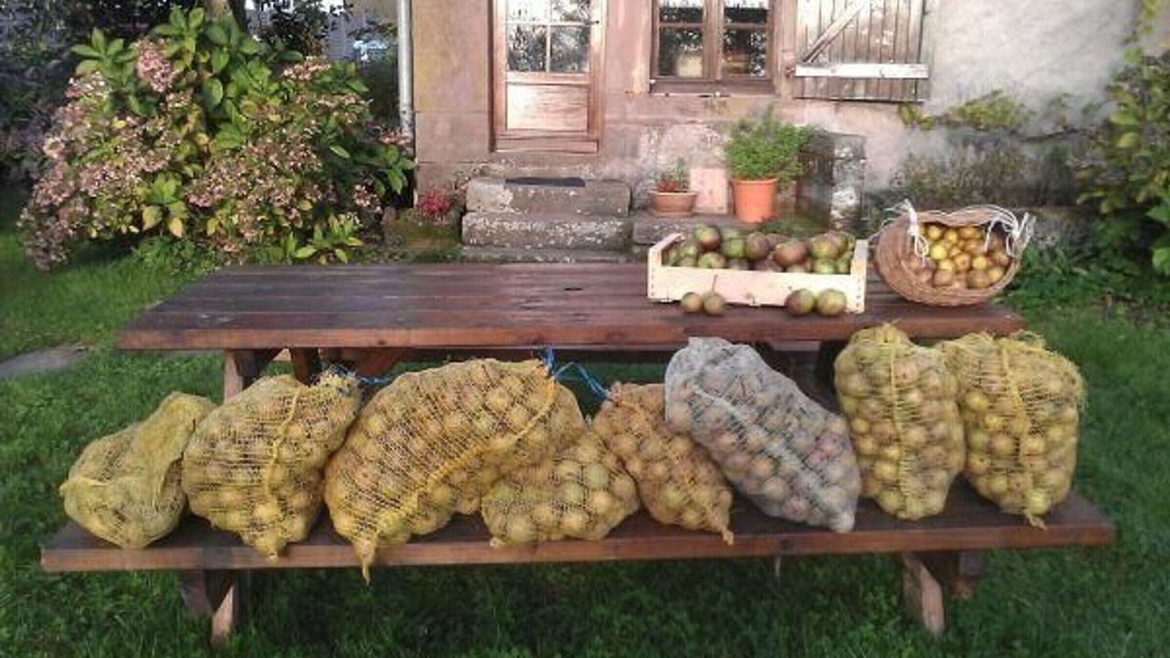Photo of Patio Balcony in Fougerolles