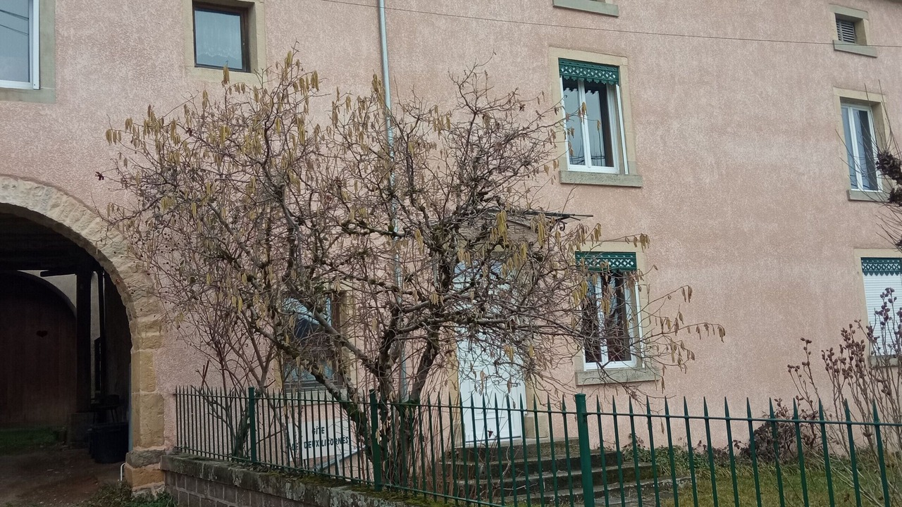 Photo of Outdoor in Anchenoncourt-et-Chazel