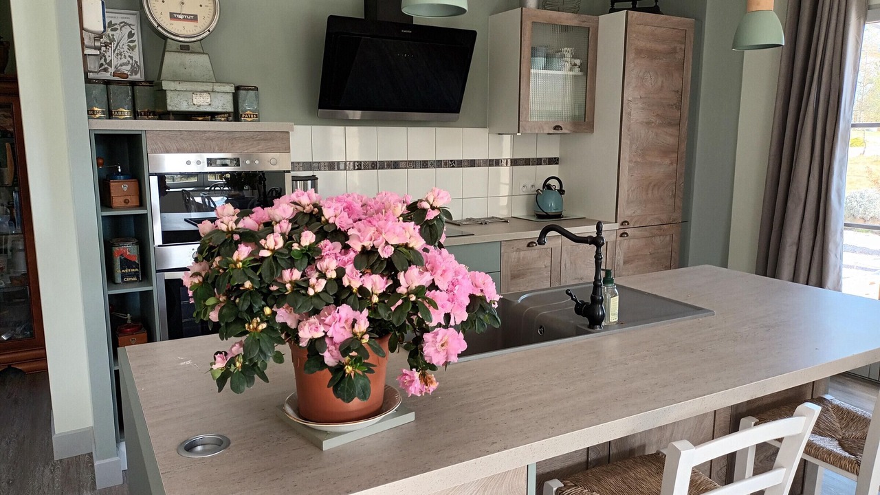 Photo of Kitchen in Gy