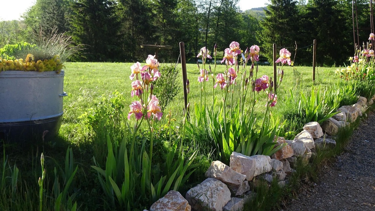 Photo of Outdoor in Gy