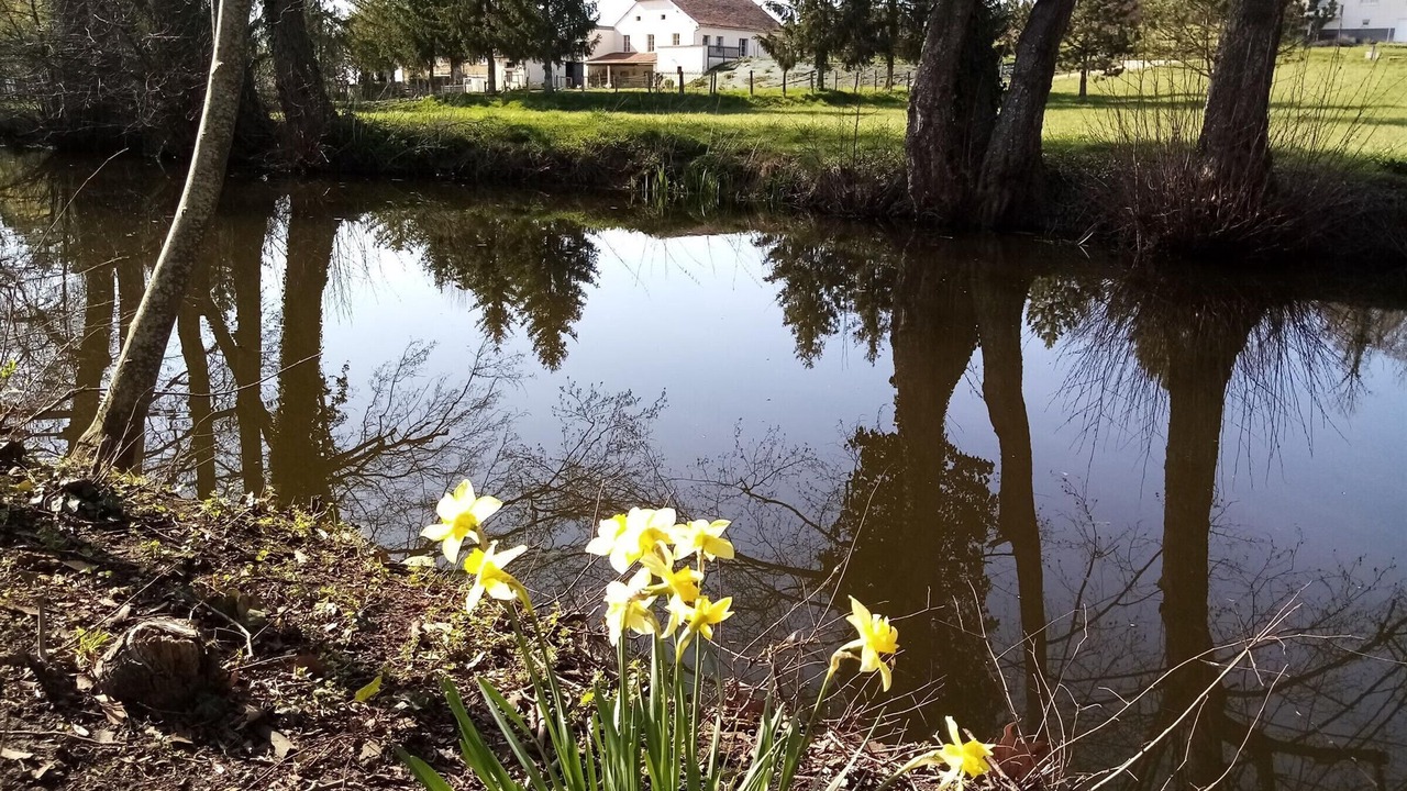 Photo of Outdoor in Gy