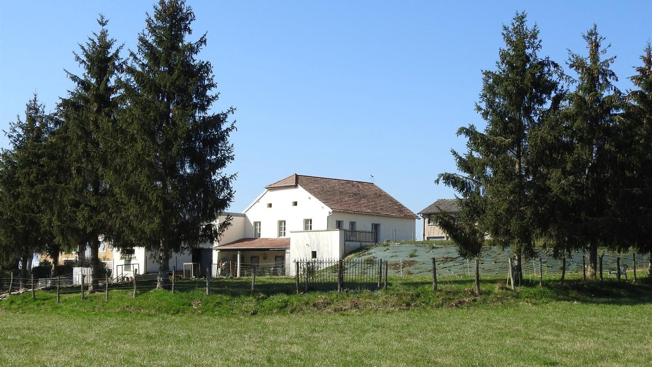 Photo of Outdoor in Gy