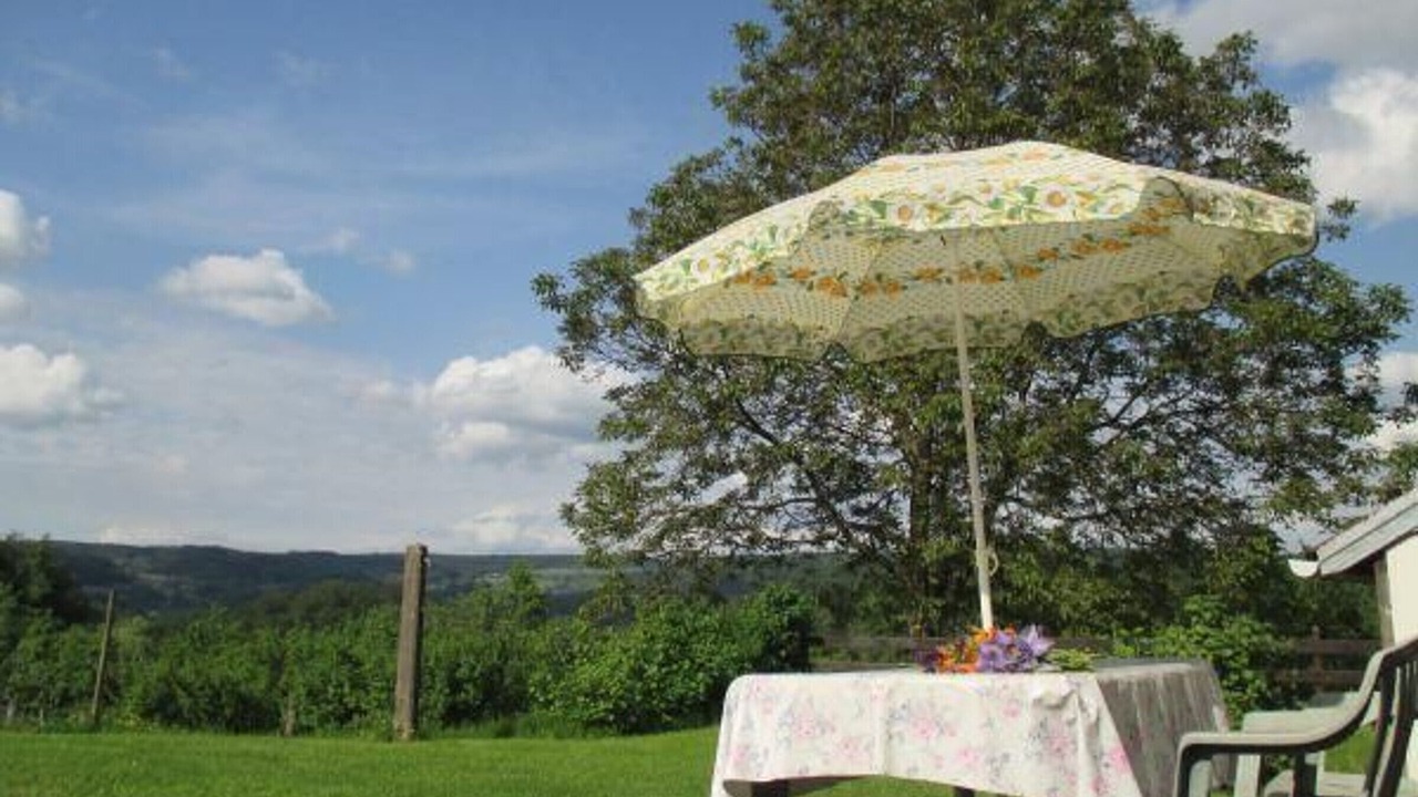 Photo of Outdoor in Saint-Bresson
