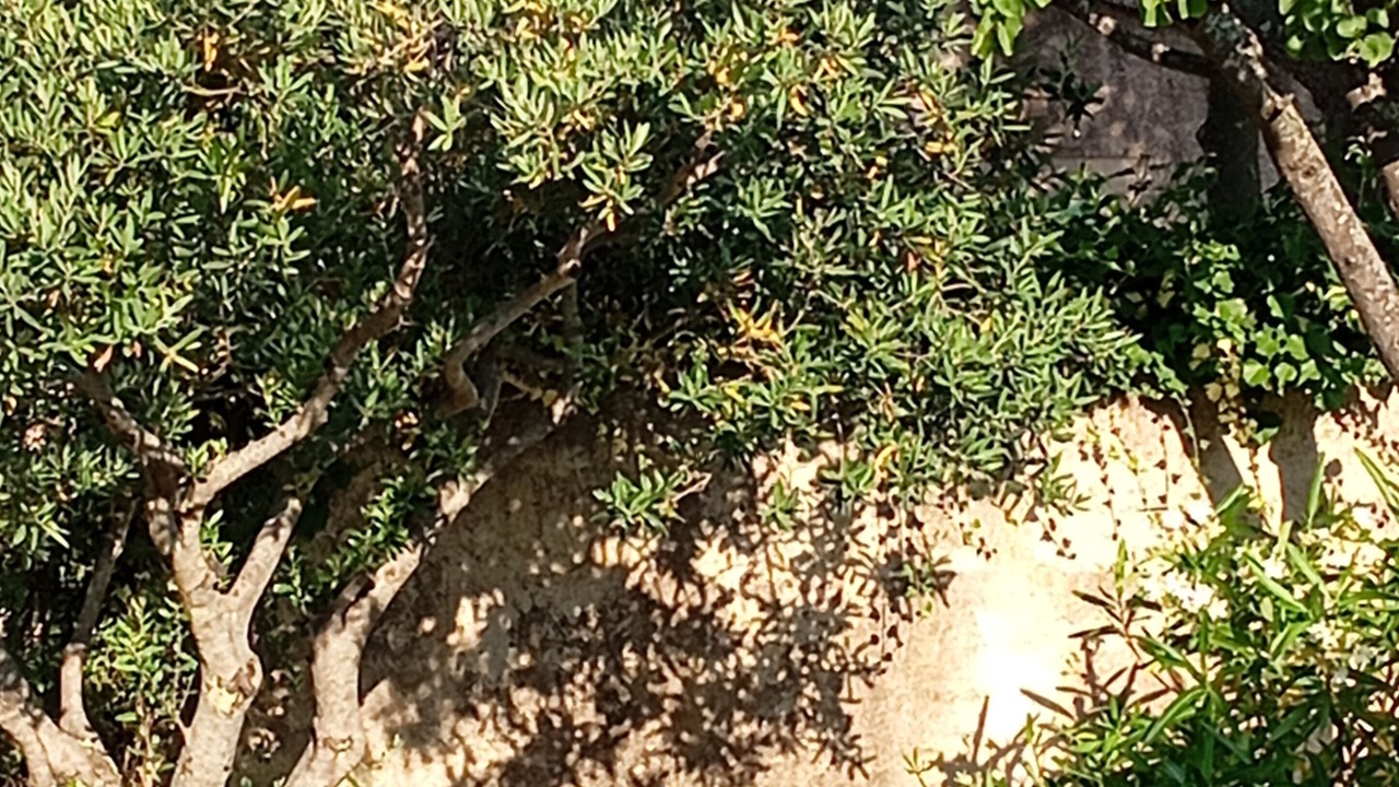 Photo of Outdoor in Vaucluse