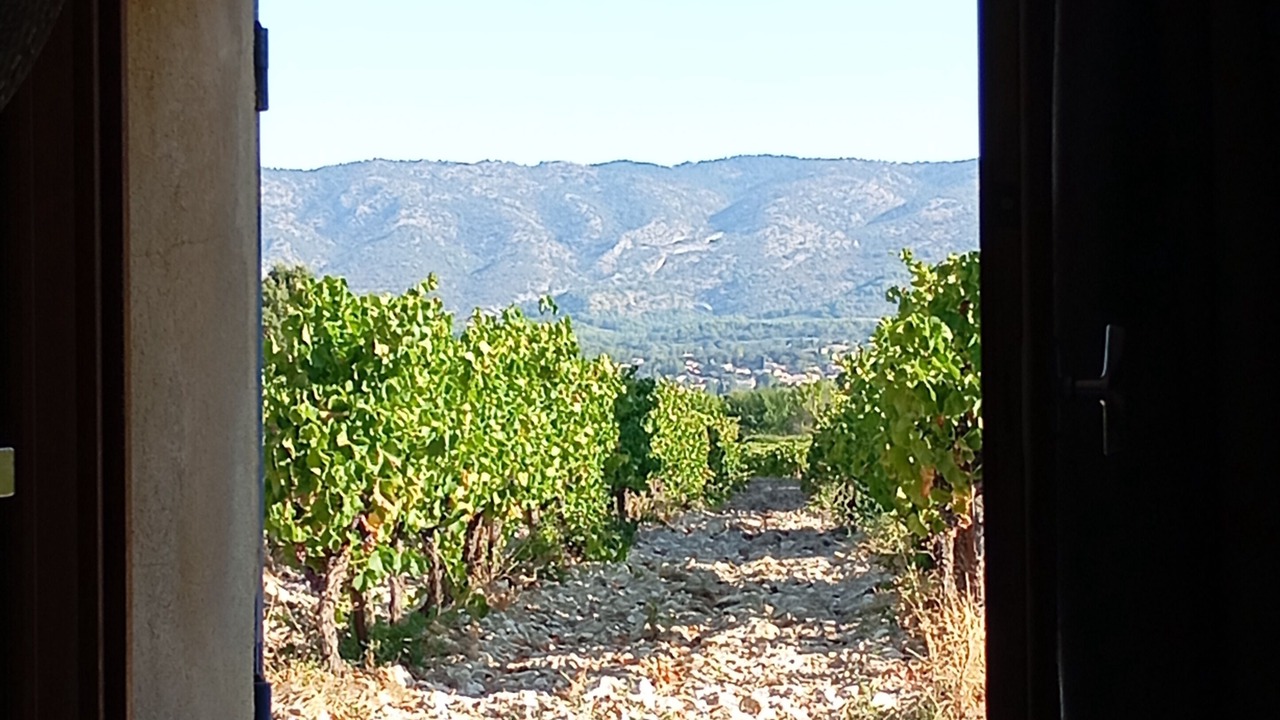 Photo of Others in Vaucluse