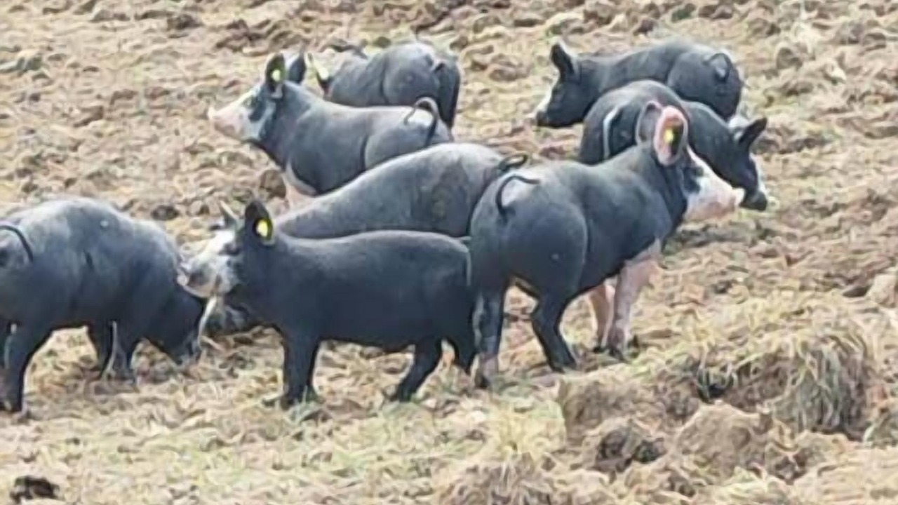 Photo of Others in Annonay Rhone Agglomeration