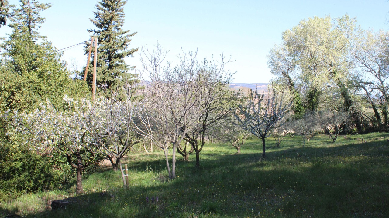 Photo of Others in Seguret