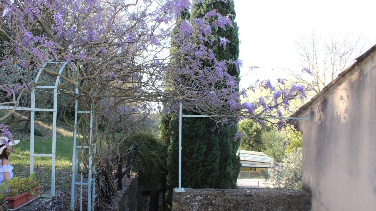 Photo of Others in Seguret