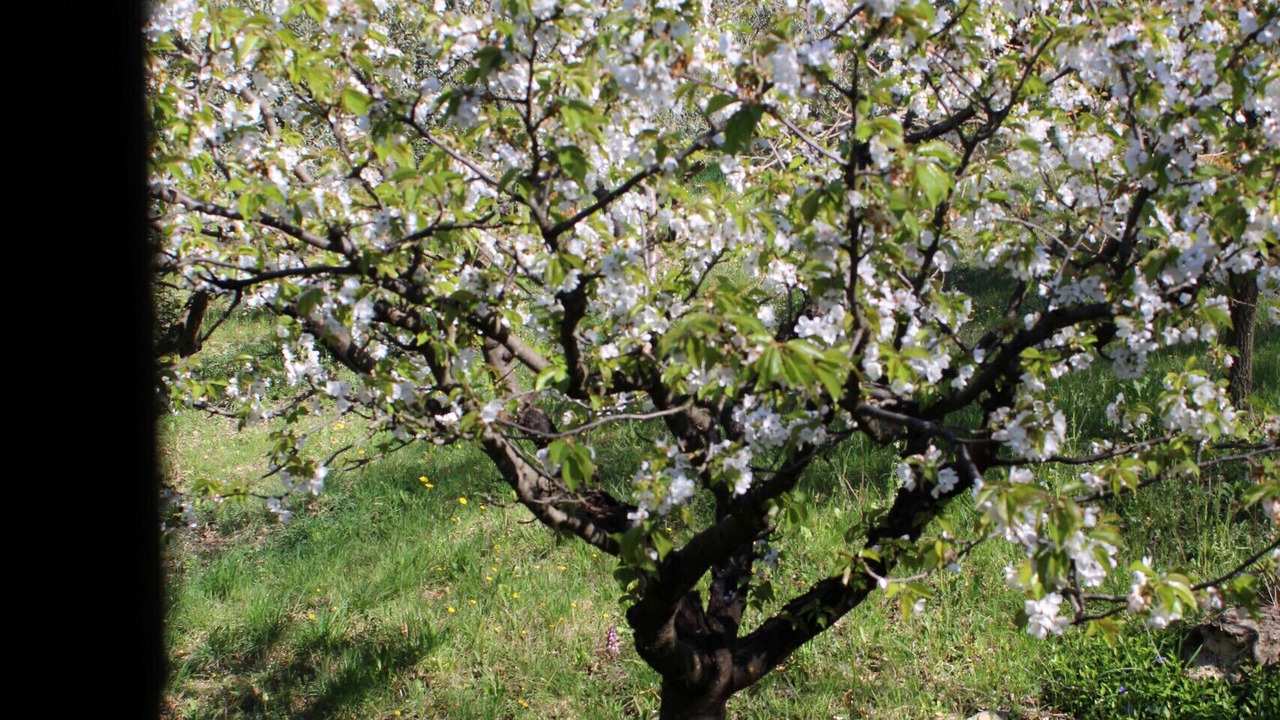 Photo of Outdoor in Seguret