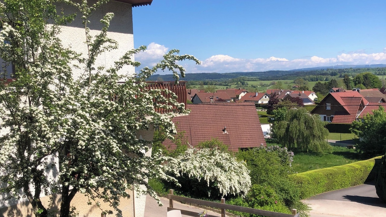 Photo of Patio Balcony in Maiche