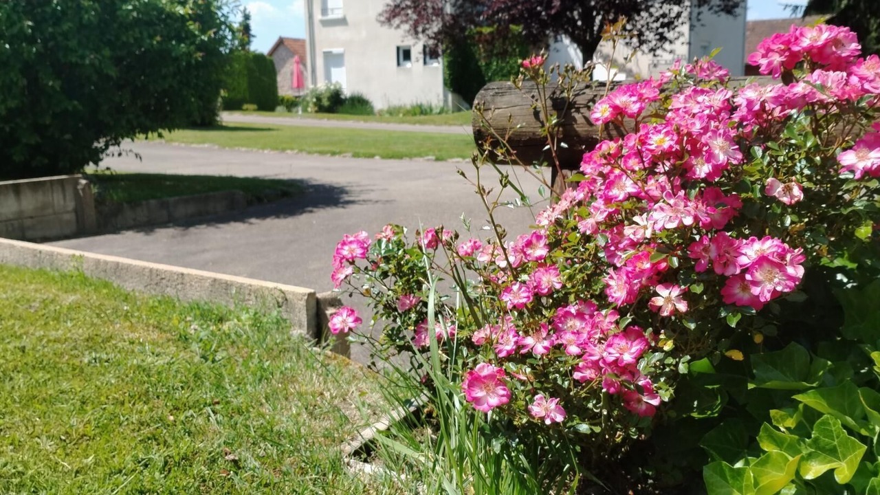 Photo of Outdoor in Mesvres