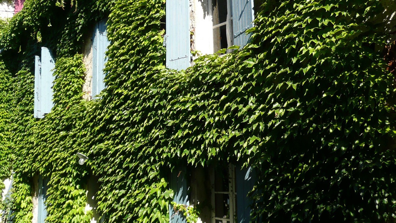 Photo of Outdoor in Saint-Didier
