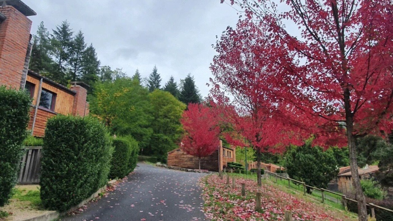Photo of Outdoor in Vorey