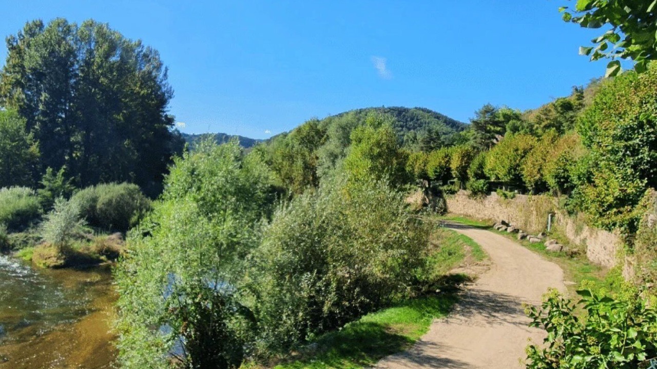 Photo of Others in Vorey