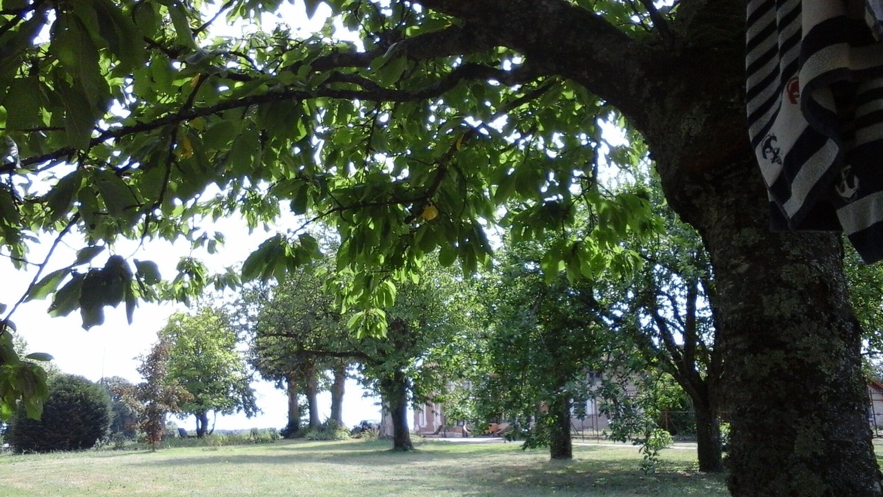 Photo of Outdoor in Bragny-sur-Saone