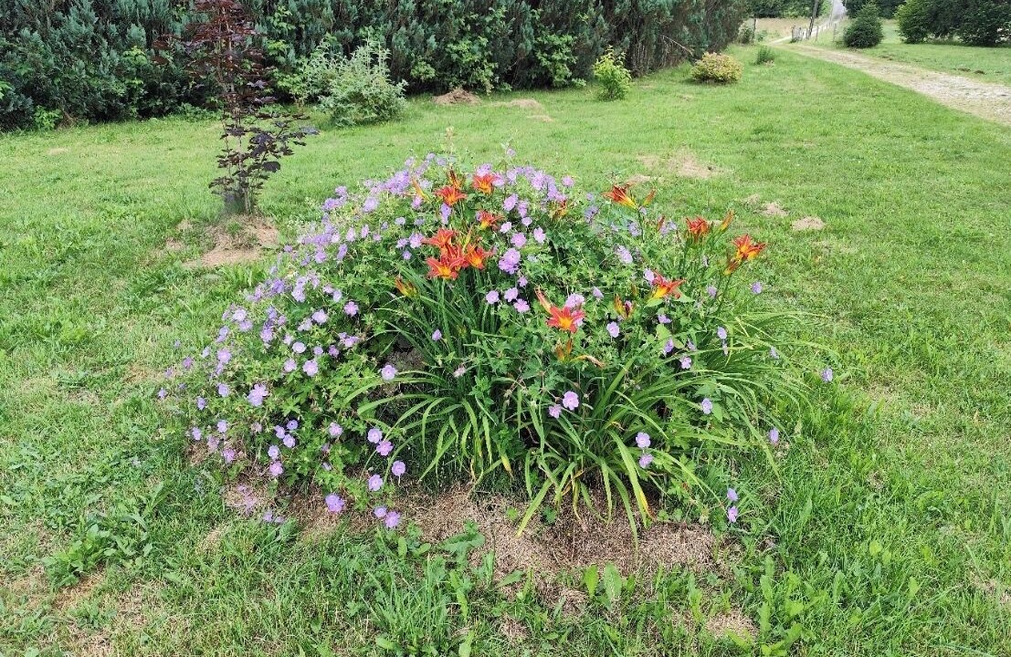 Photo of Outdoor in Bagnols