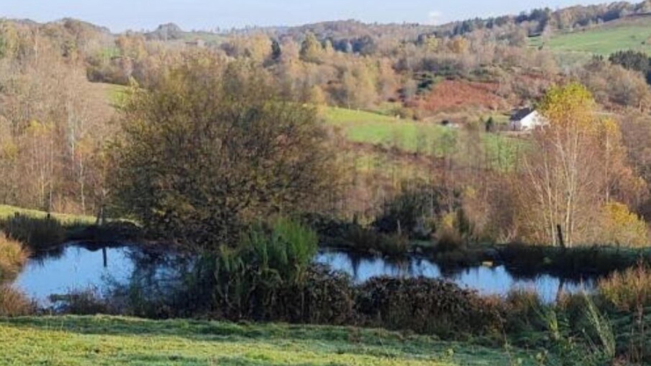 Photo of Others in Faucogney-et-la-Mer