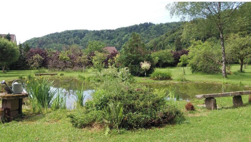 Photo of Outdoor in Faucogney-et-la-Mer