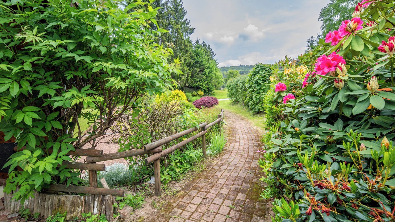 Photo of Outdoor in Xonrupt-Longemer