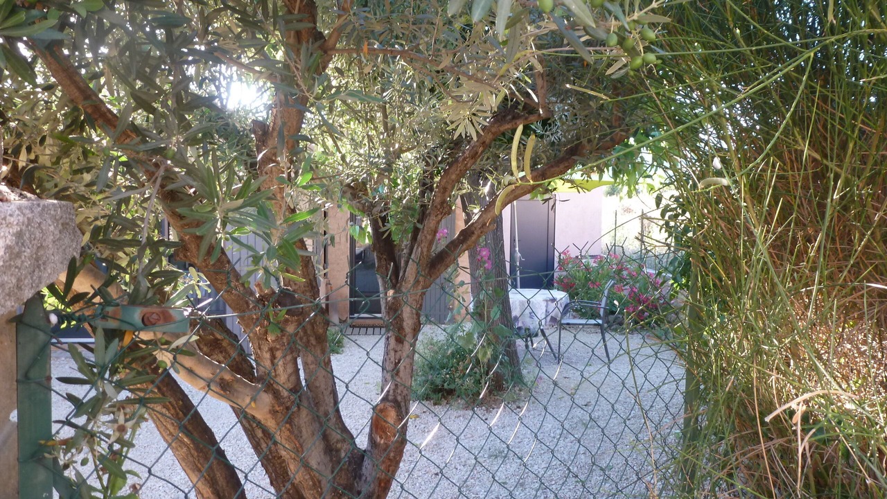 Photo of Outdoor in Bedoin