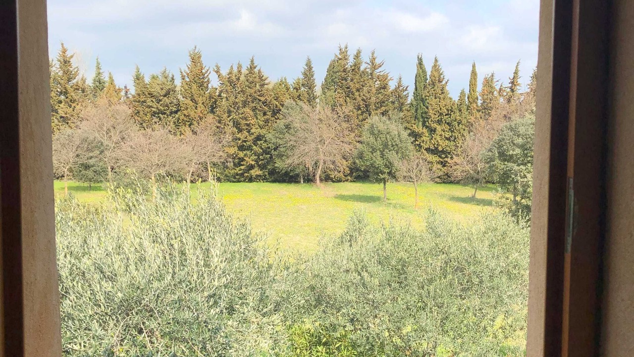 Photo of Others in Suze-la-Rousse