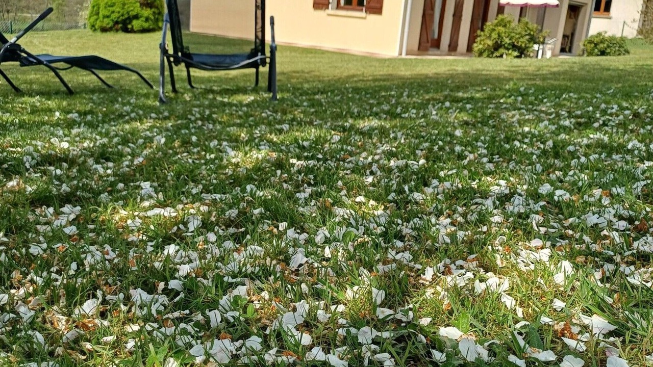 Photo of Outdoor in Uzemain