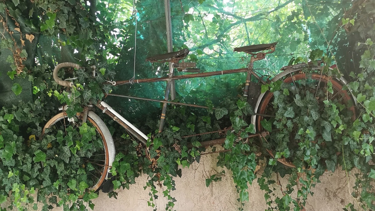 Photo of Outdoor in Bedoin