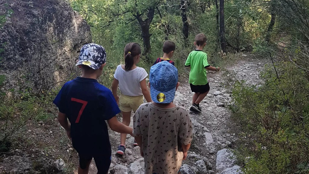 Photo of Others in Saint-Paul-Trois-Chateaux