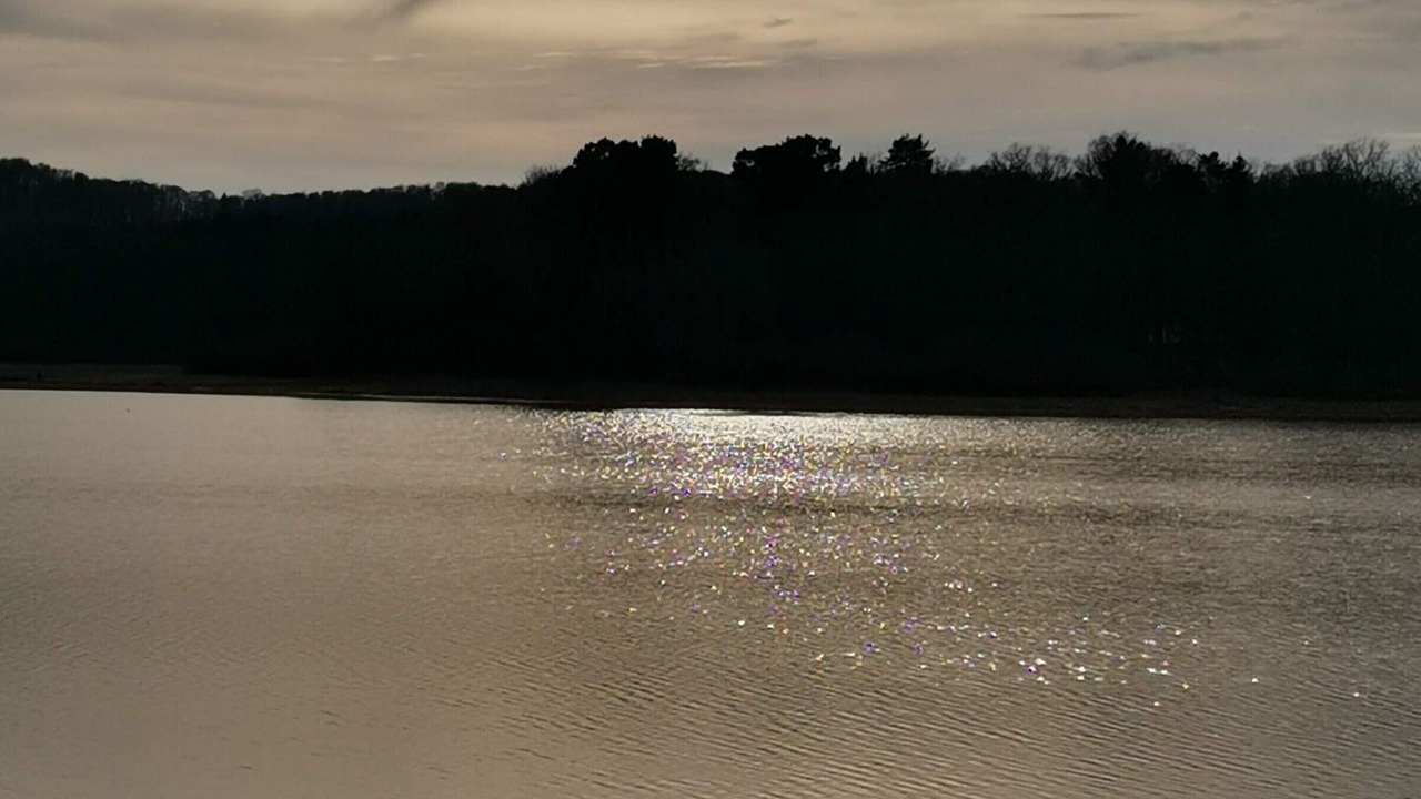 Photo of Others in Sanchey