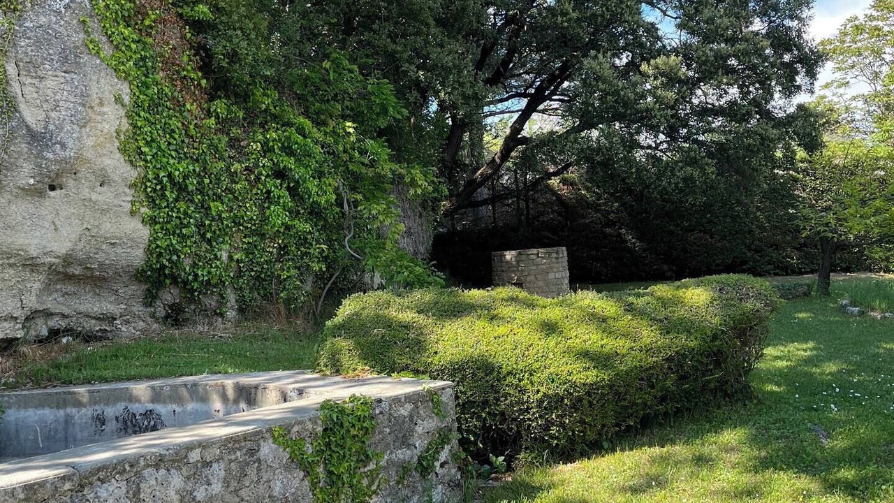 Photo of Outdoor in Reauville