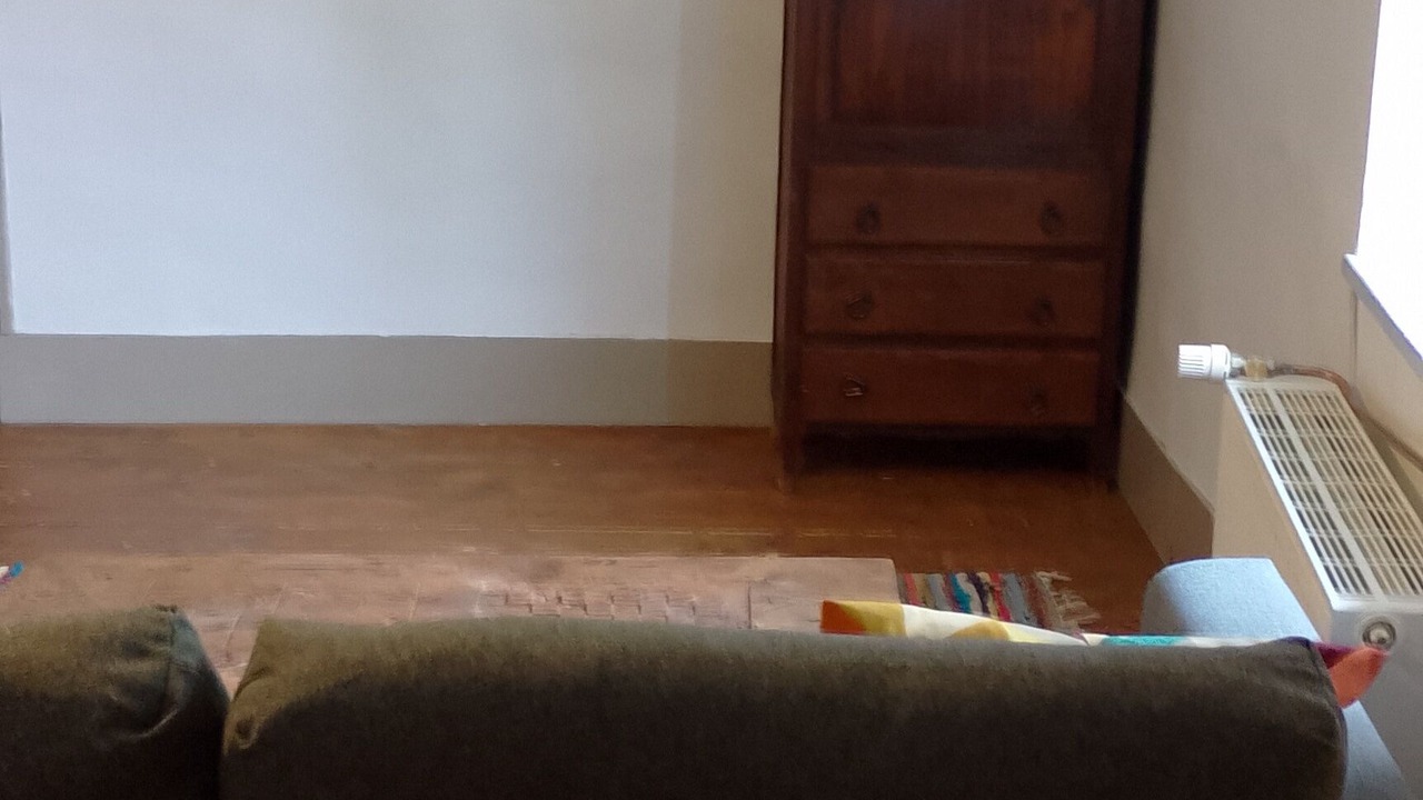 Photo of Livingroom in Le Larderet