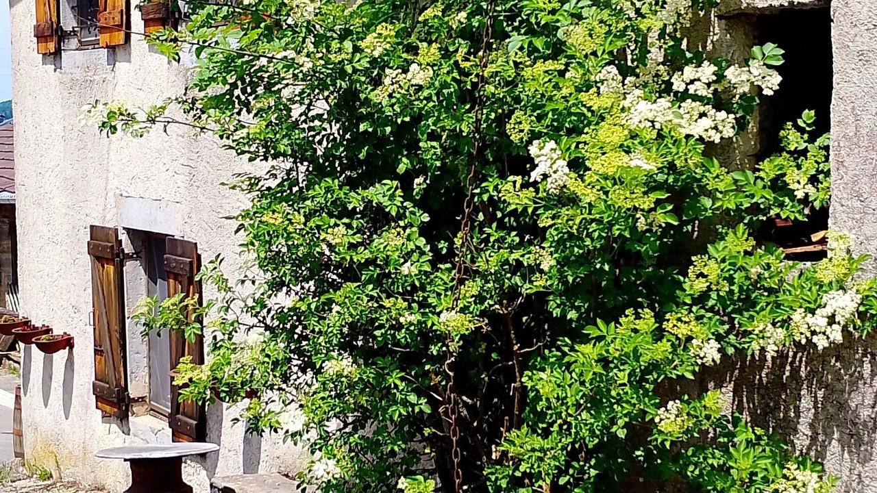 Photo of Outdoor in Le Larderet