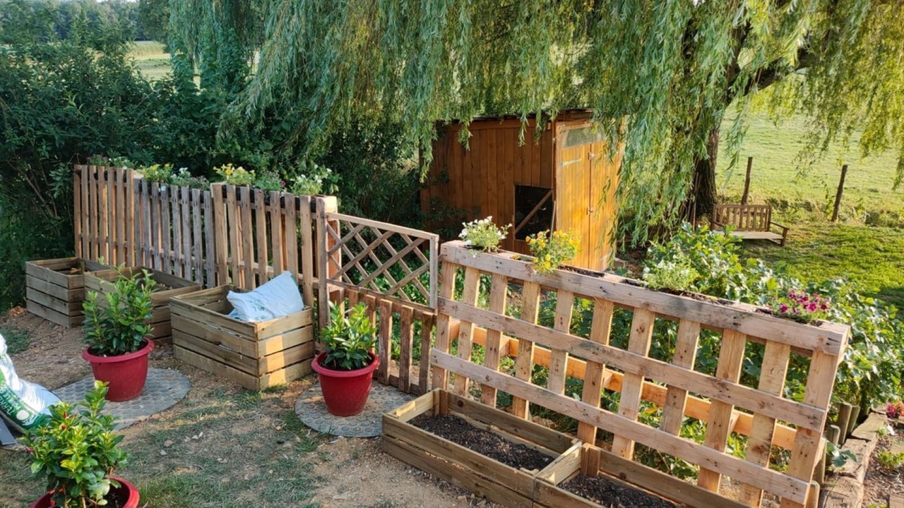 Photo of Outdoor in Montillot