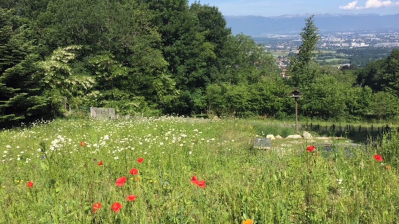 Photo of Outdoor in Collonges-sous-Saleve