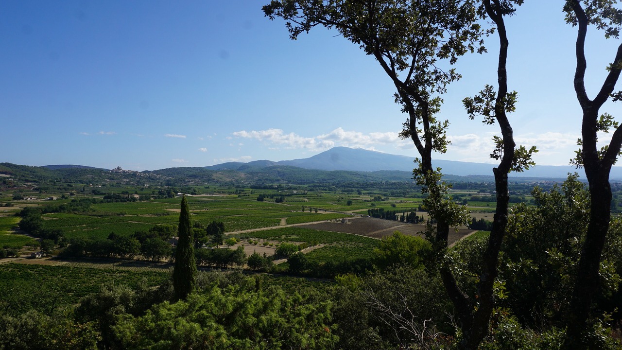Photo of Others in Saint-Hippolyte-le-Graveyron