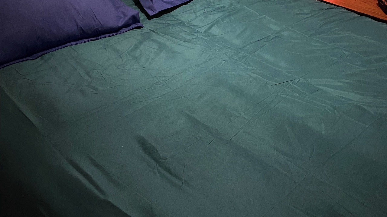 Photo of Bedroom in Chatillon