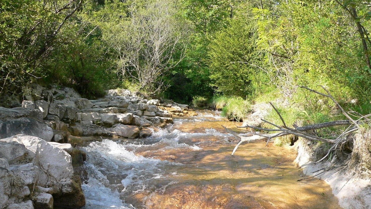 Photo of Others in Eygluy-Escoulin