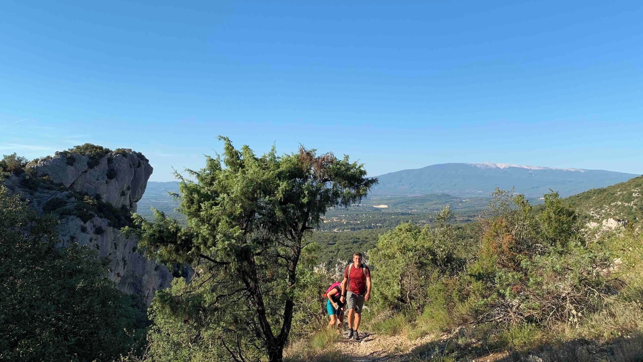 Photo of Others in Malemort-du-Comtat